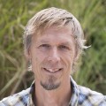 Mark Cline Lucey